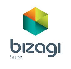 نرم افزار بیزاجی